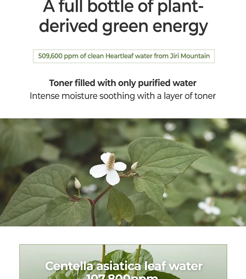 WONDER BATH - Heartleaf Calming Serum 300ml